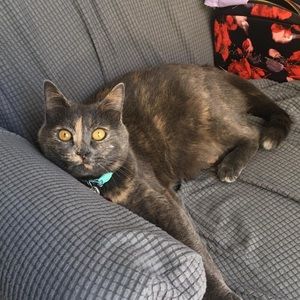 Meet your Posher, Holly